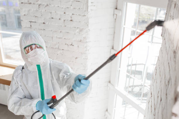 Best Mold Documentation for Insurance Claims  in Wayland, IA