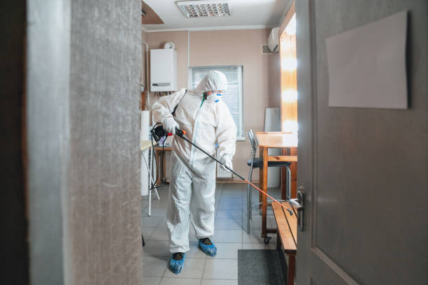 Best Emergency Mold Remediation  in Wayland, IA