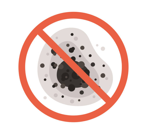 Best Mold Removal for HVAC Installations  in Wayland, IA