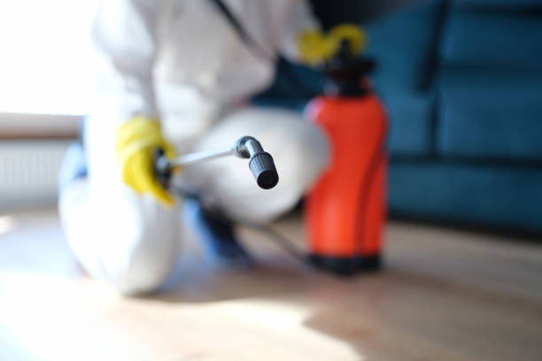 Best Forensic Mold Investigation  in Wayland, IA