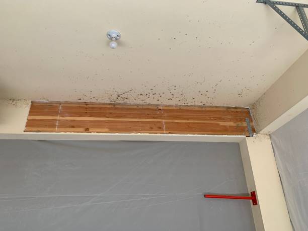 Best Indoor Air Quality Assessment  in Wayland, IA