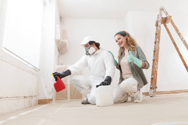  Wayland, IA Mold Removal Pros