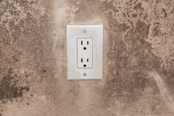Mold Remediation for Rental Properties in Wayland, IA